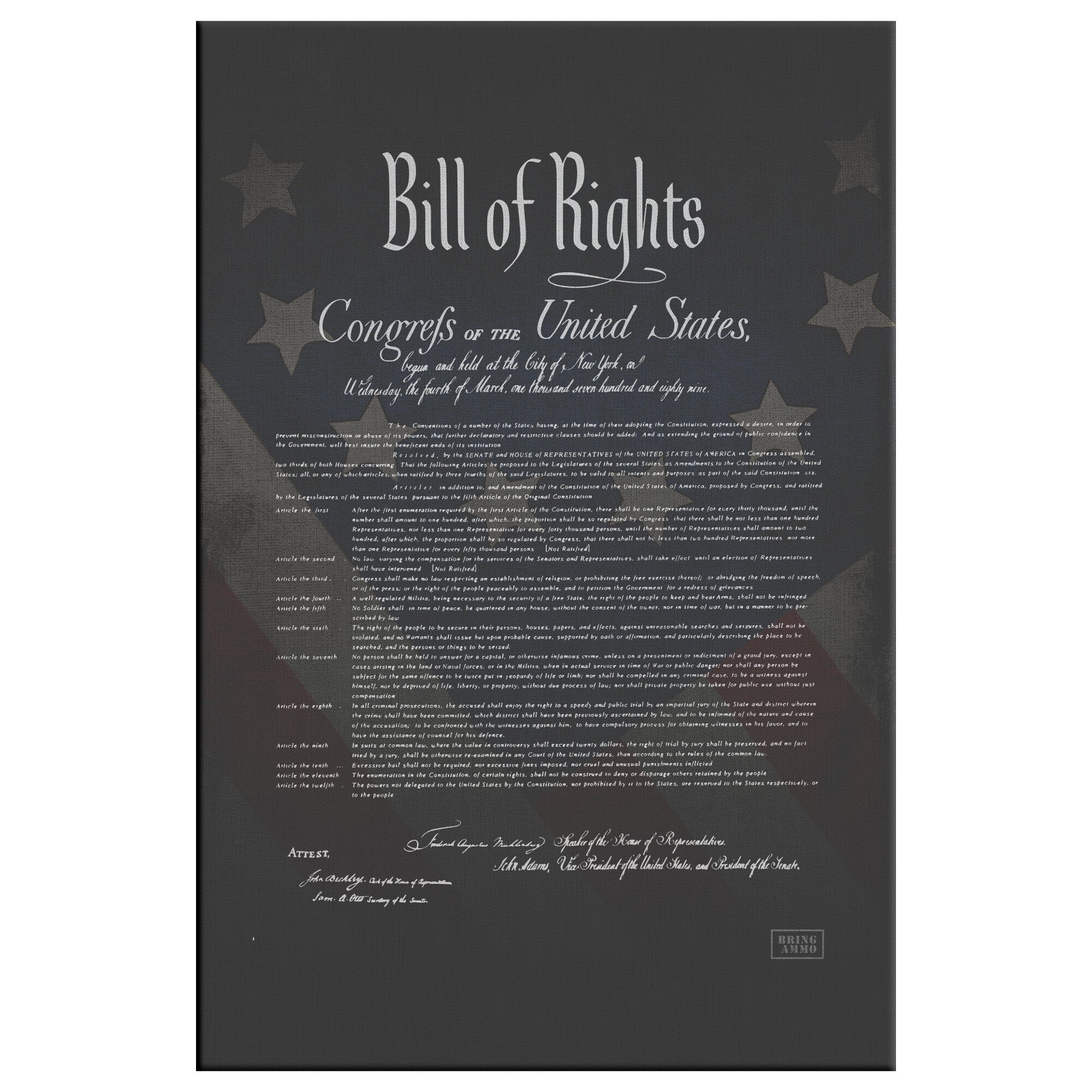 Bill of Rights VIP Canvas Wall Art 32x48 1.25 